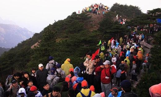 在线旅游能否真的说走就走？捆绑销售成最大槽点