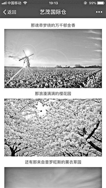 花海变盆栽 河南美食节被指虚假宣传