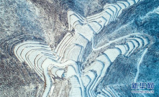 河北涉县：雪映太行梯田美