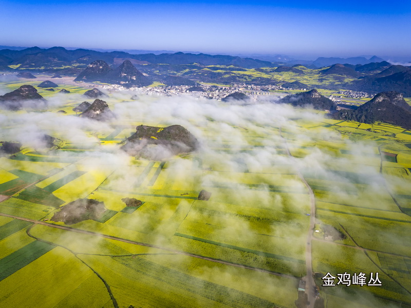 到云南罗平看油菜花 体验少数民族独特风情 到云南罗平看油菜花 体验少数民族独特风情
