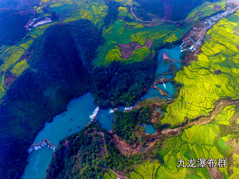 到云南罗平看油菜花 体验少数民族独特风情 到云南罗平看油菜花 体验少数民族独特风情