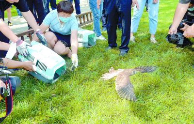 野生动物栖息地每5年普查一次