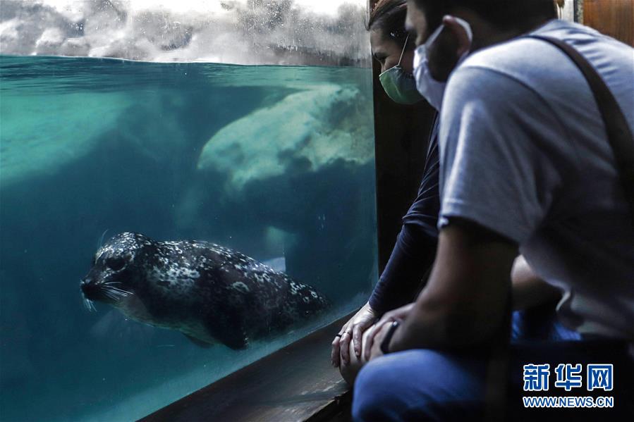 巴西圣保罗市水族馆重新开放