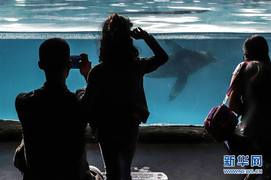 巴西圣保罗市水族馆重新开放