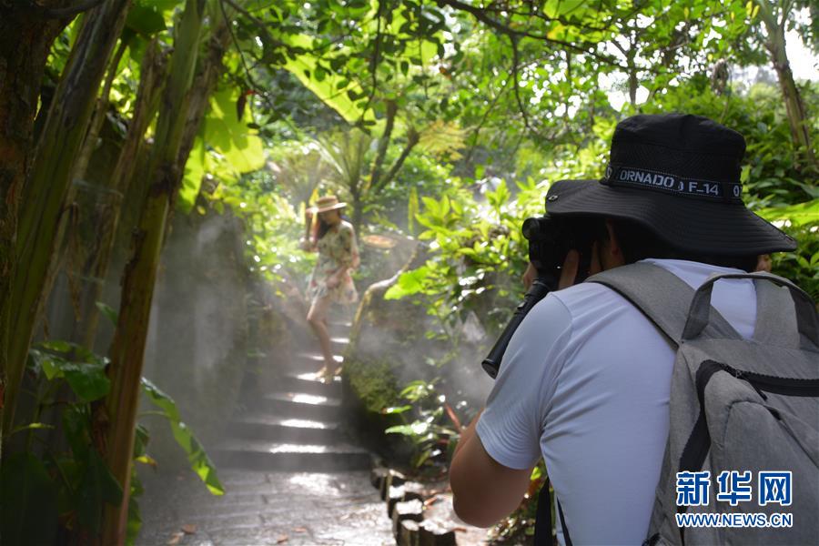 厦门市园林植物园醉游人