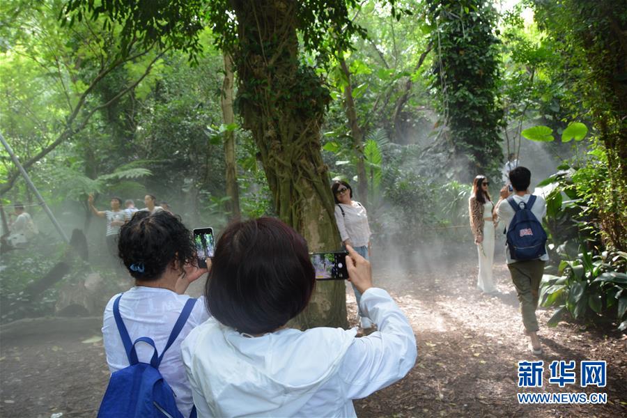 厦门市园林植物园醉游人