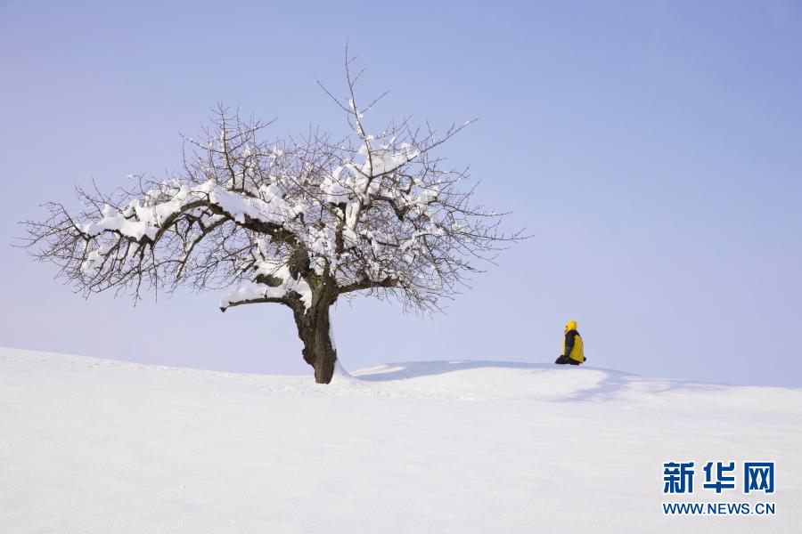 法国：大雪之后