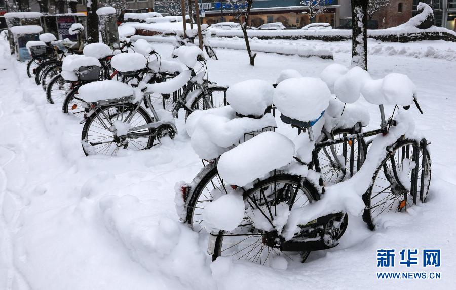 雪后慕尼黑