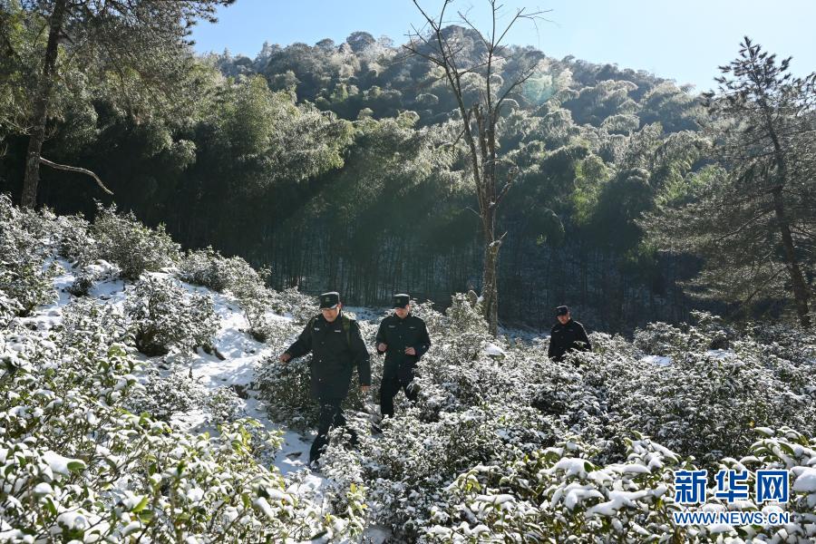 探秘武夷山国家公园