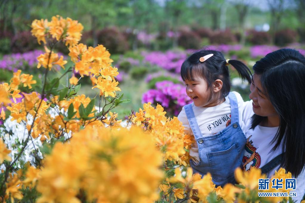 “百花争艳”助推乡村“美丽经济”