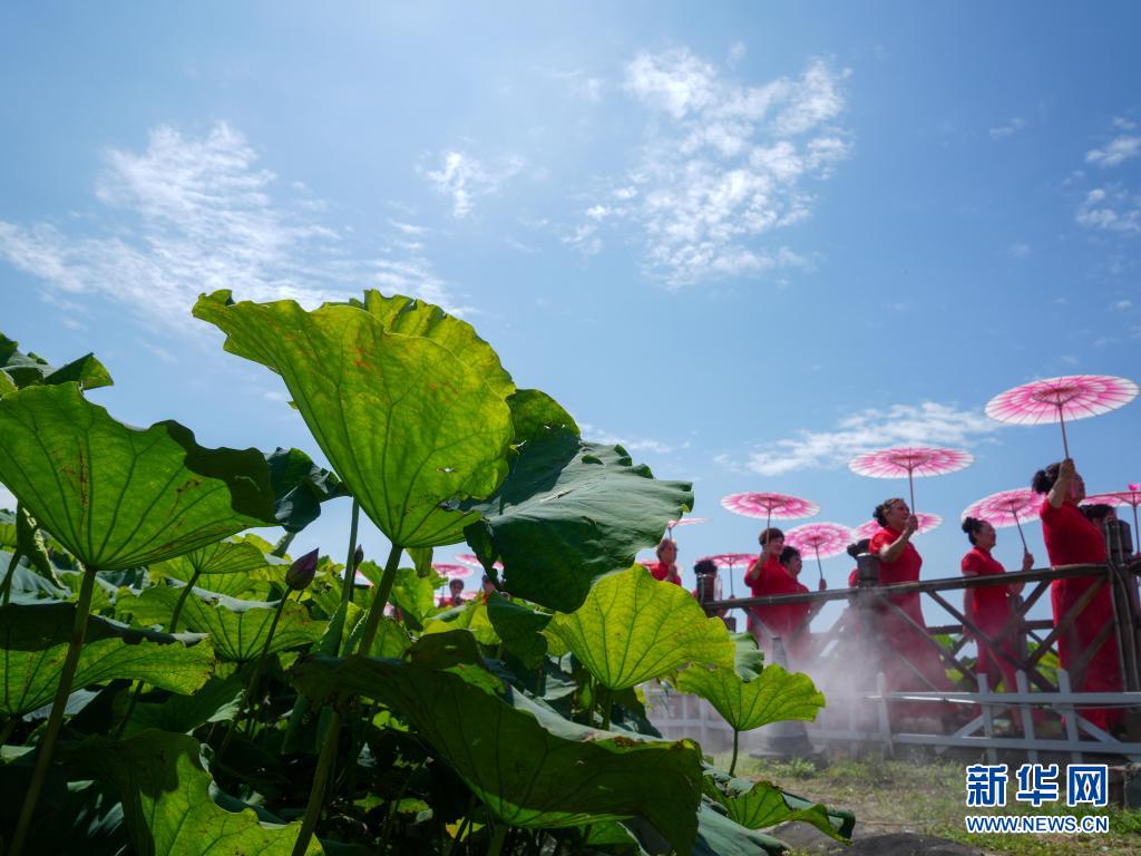 济南白云湖生态优先绘美景