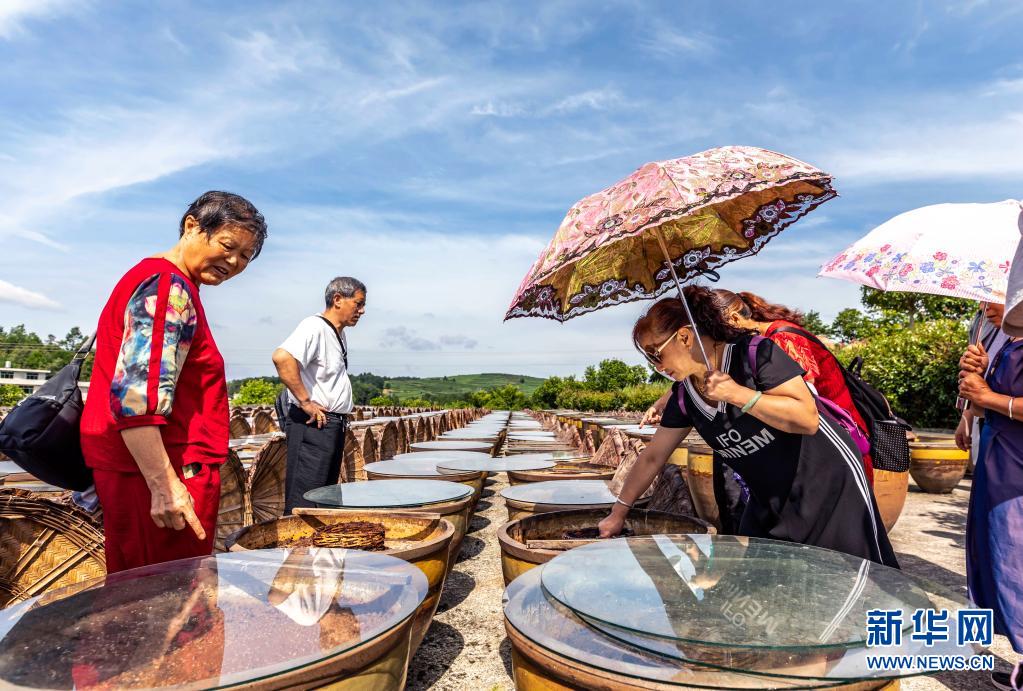 贵州金沙：工旅融合助力乡村振兴