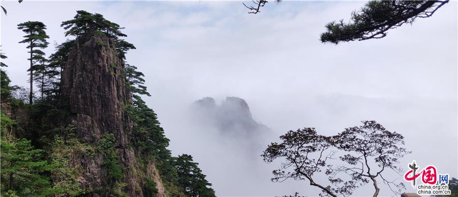 黄山晚霞云海美景 光芒万丈烟波浩渺（组图）