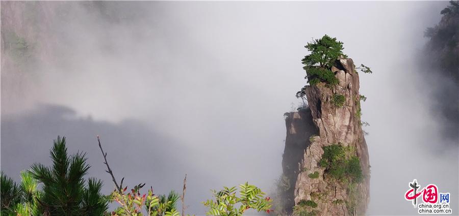 黄山晚霞云海美景 光芒万丈烟波浩渺（组图）