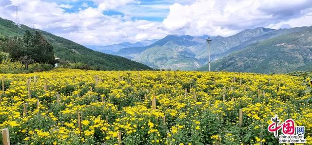 四川木里：难民村今变幸福村 村民日子有奔头