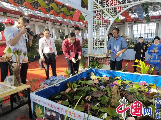 江苏沭阳：花木“颜色经济”扮靓“苏北最美乡村”