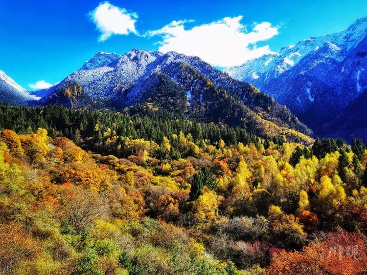 左手雪景 右手彩林 与初冬的九寨沟开启时空浪漫之旅