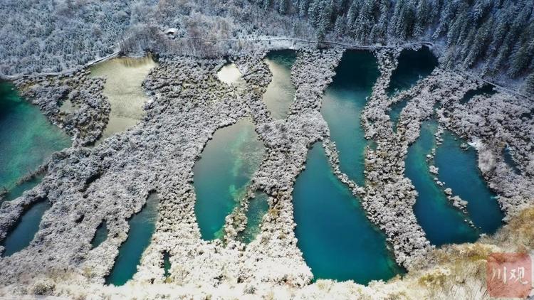 左手雪景 右手彩林 与初冬的九寨沟开启时空浪漫之旅