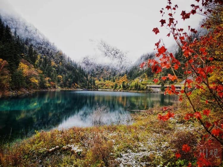 左手雪景 右手彩林 与初冬的九寨沟开启时空浪漫之旅