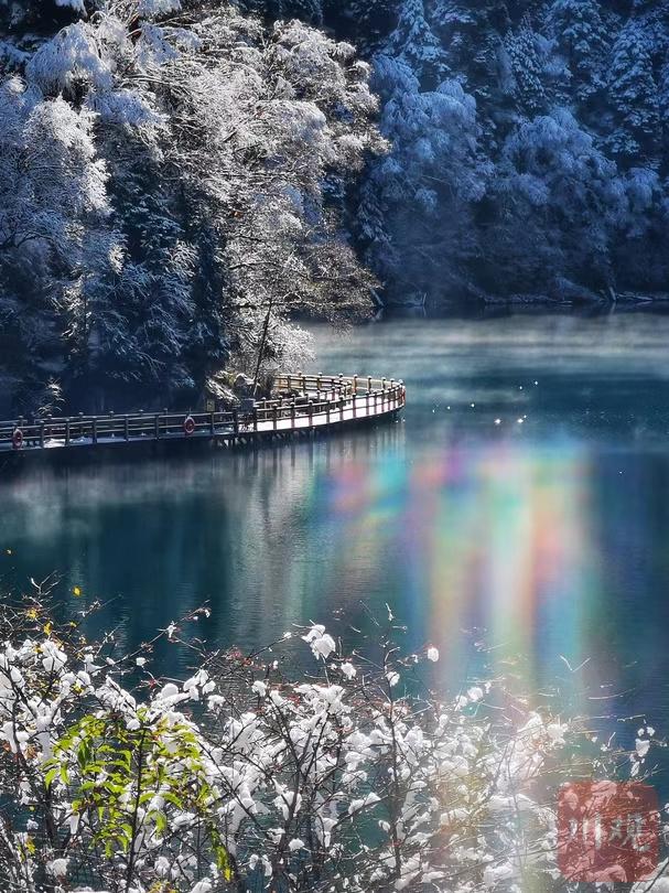 左手雪景 右手彩林 与初冬的九寨沟开启时空浪漫之旅