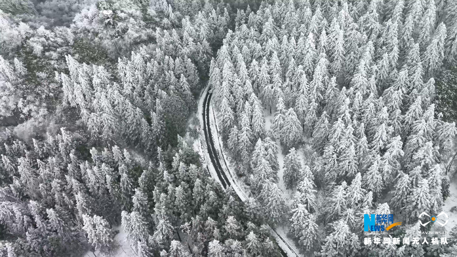 【“飞阅”中国】南方林海雪景尽显人间冬季之美