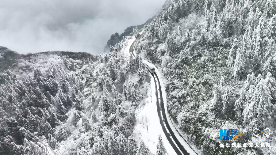 【“飞阅”中国】南方林海雪景尽显人间冬季之美