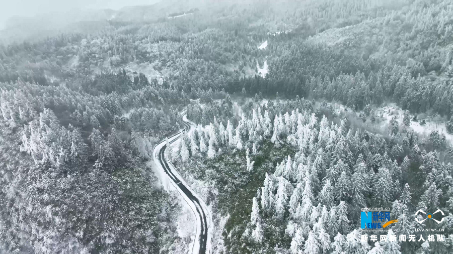 【“飞阅”中国】南方林海雪景尽显人间冬季之美