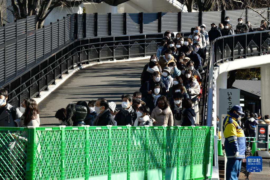 日本东京：大熊猫双胞胎首次公开亮相