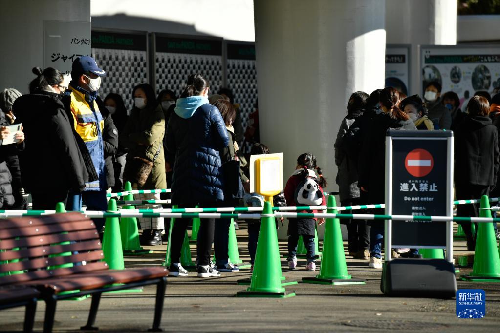 日本东京：大熊猫双胞胎首次公开亮相