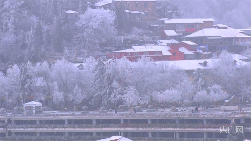 冬日美景|庐山雪景旖旎迎客来