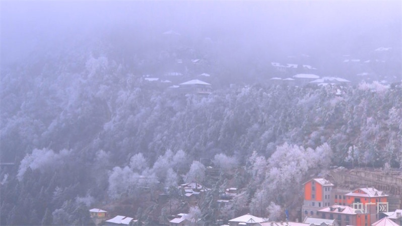 冬日美景|庐山雪景旖旎迎客来