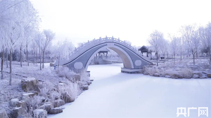 绝美！雪后额济纳现雾凇奇观