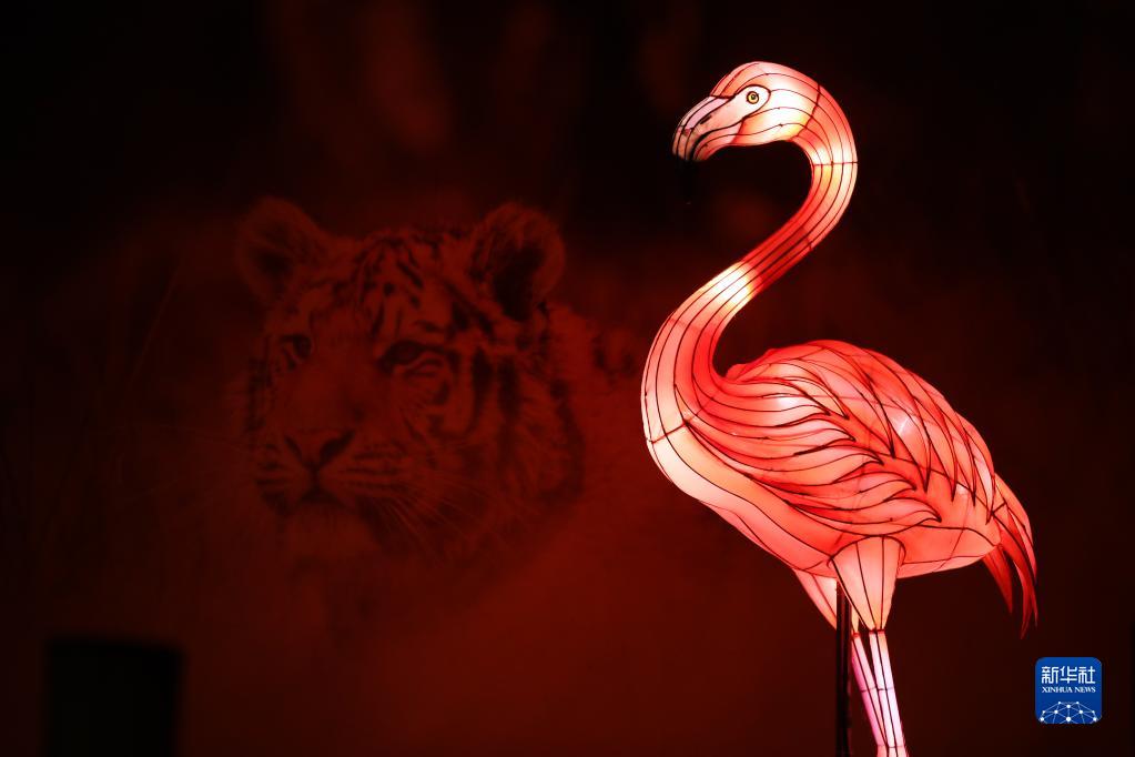 比利时：“中国花灯”携手“欧洲童话”