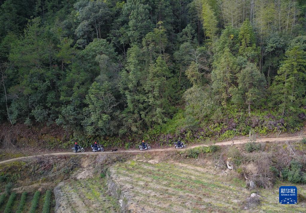 武夷山国家公园里的“巡山人”