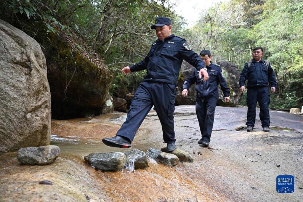 武夷山国家公园里的“巡山人”