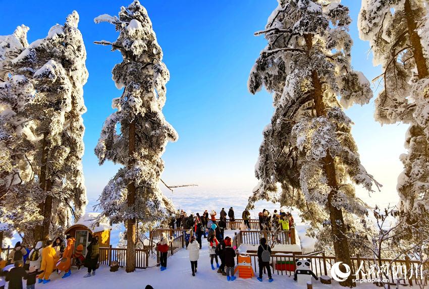 四川洪雅：飞雪迎春到 瑞雪兆丰年