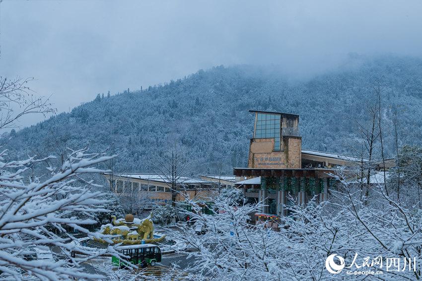 四川洪雅：飞雪迎春到 瑞雪兆丰年