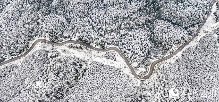 四川洪雅：飞雪迎春到 瑞雪兆丰年