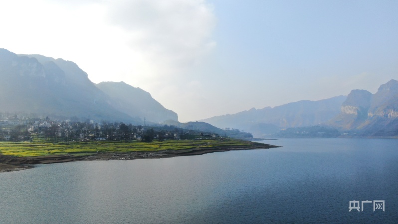 贵州纳雍河畔：油菜花开迎春来 踏青赏花正当时