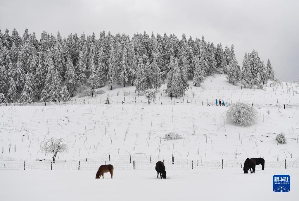 重庆武隆：“冰雪世界”引客来