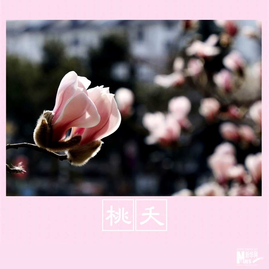 春色告诉你 古人有多浪漫