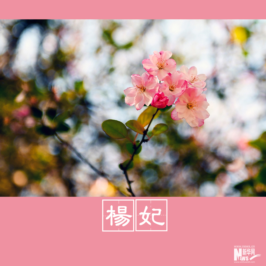 春色告诉你 古人有多浪漫