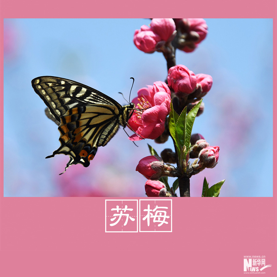 春色告诉你 古人有多浪漫