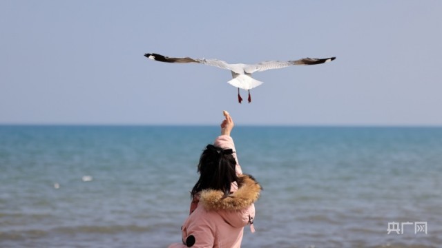 碧波荡漾 青海湖迎来开湖季
