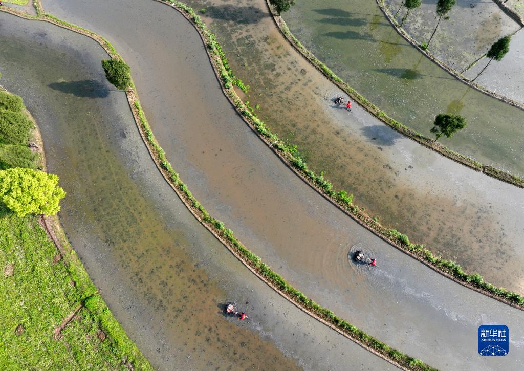 鸟瞰春日田园