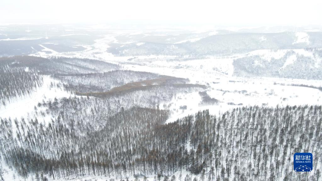 塞罕坝邂逅春雪 变身冰雪世界