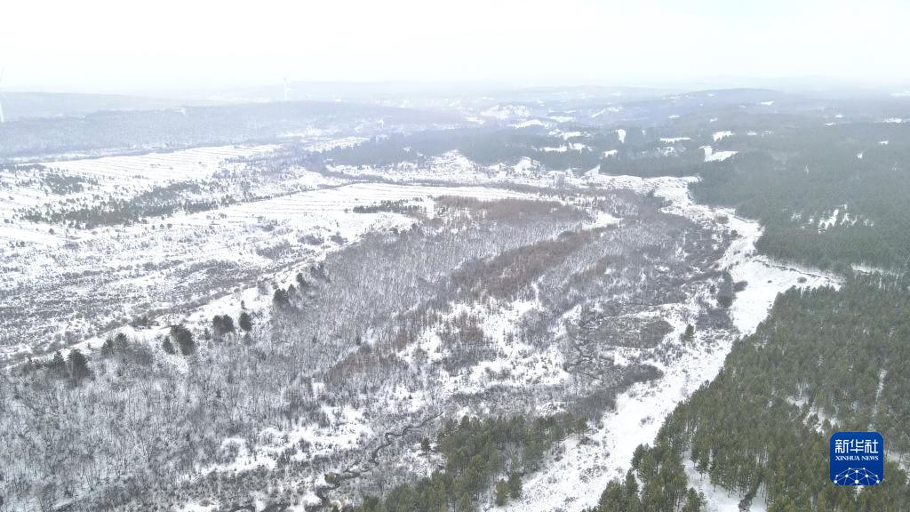 塞罕坝邂逅春雪 变身冰雪世界