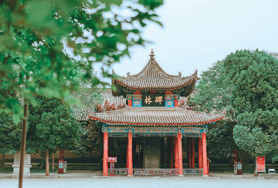 千年碑林焕发新光彩