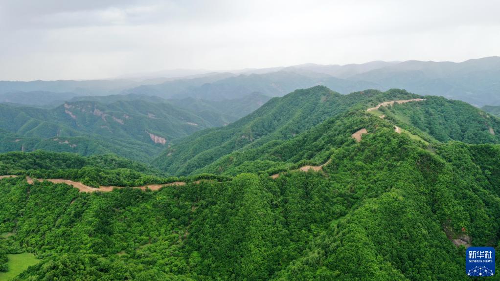夏日关山绿茵似毯