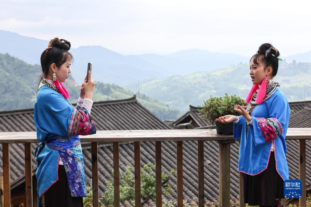 我从月亮山里来
